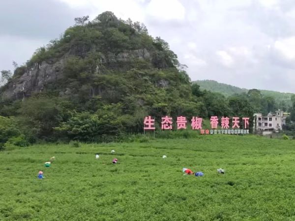 微信图片_20230819072146.jpg