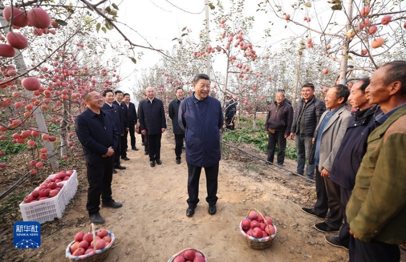 习近平在陕西延安和河南安阳考察时强调全面推进乡村振兴 为实现农业农村现代化而不懈奋斗