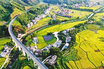 海外点赞乡村振兴的中国经验