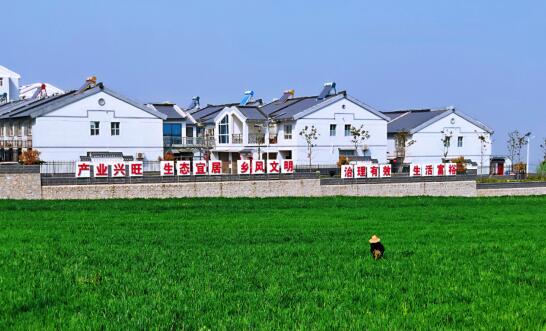 QQ截图20220328094803.jpg