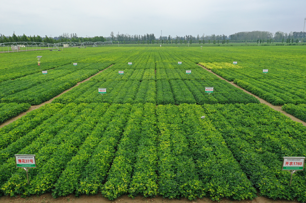 20221118166874315013.png 图片5.png