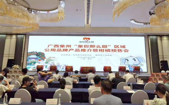 微信图片_20210619142632.png