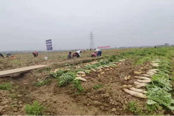 微信图片_20220326082735.png