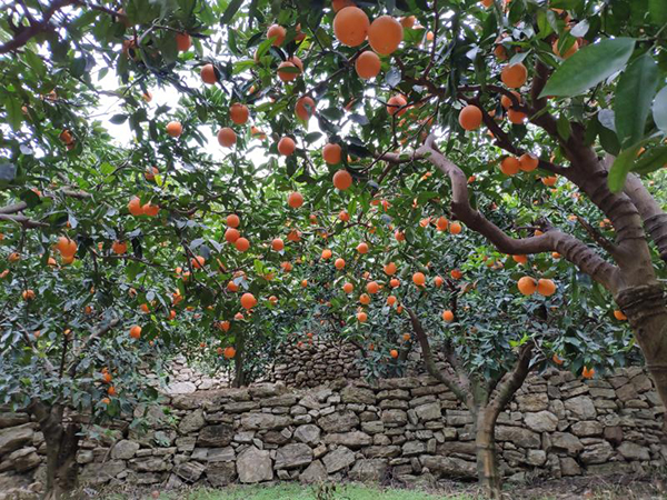 20220114164215190444.jpg 2.jpg