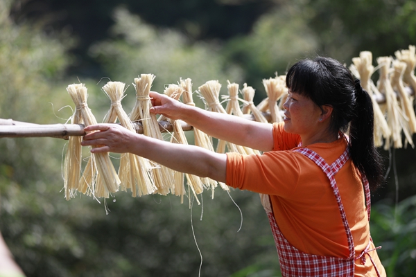 黄沙瑶胞传统工艺之制竹麻.jpg