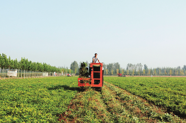 20221118166874308873.png 图片3.png