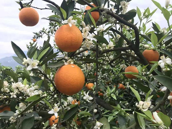 20220114164215263232.jpg 1.jpg