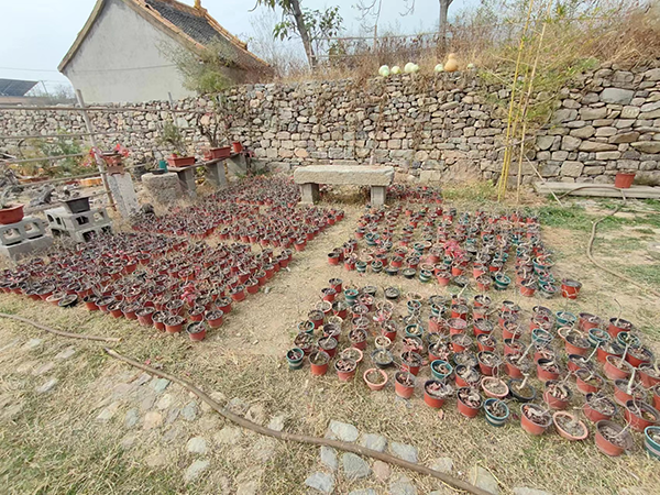 图片8.png