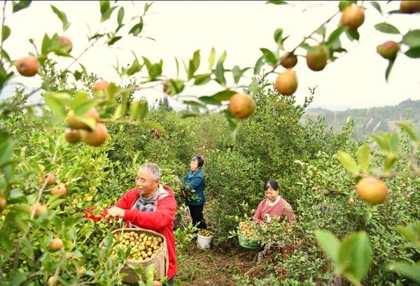 QQ截图20220406093928.jpg