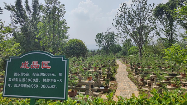图片5.png