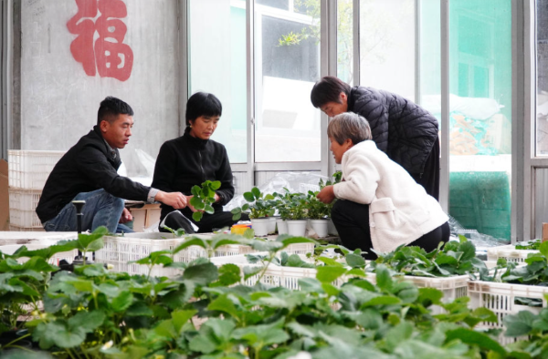微信截图_20230511100304.png